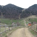 IMG_5702 IMG_5702