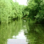 Delta 1 Delta Dunării. Foto: Traian BĂDULESCU